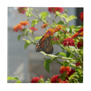 Monarch Butterfly on Red Butterfly Bush Ceramic Tile