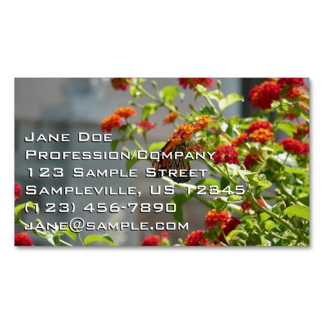 Monarch Butterfly on Red Butterfly Bush Magnetic Business Card (Front)