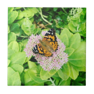 Monarch Butterfly on Stonecrop Flowers Ceramic Tile
