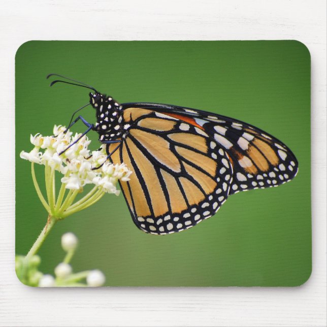 Monarch Butterfly on Swamp Milkweed Mousepad (Front)