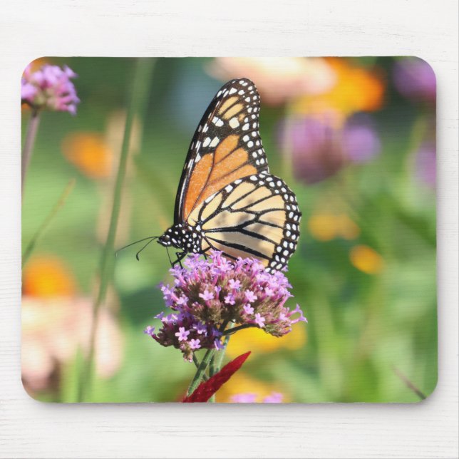 Monarch Butterfly on Verbena Mouse Pad (Front)