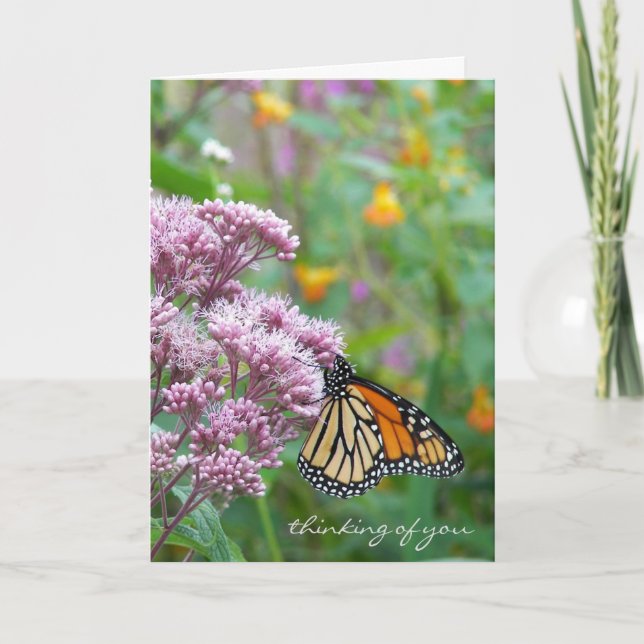 Monarch butterfly on wildflower card (Front)