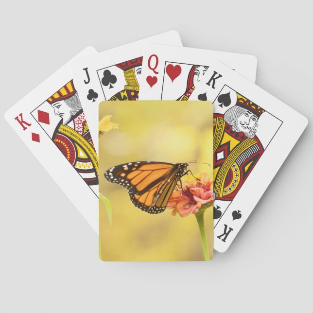 Monarch Butterfly on Zinnia Playing Cards (Back)