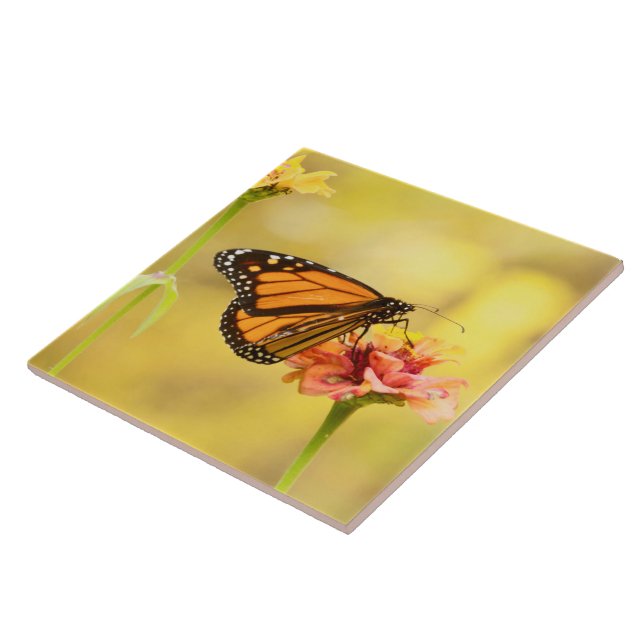 Monarch Butterfly on Zinnia Tile (Side)