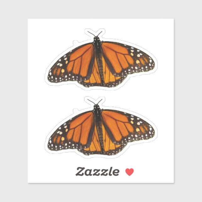 Monarch Butterfly Open Wings (Sheet)