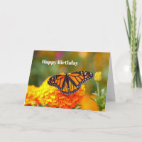 Monarch Butterfly Orange Marigold Photo Birthday