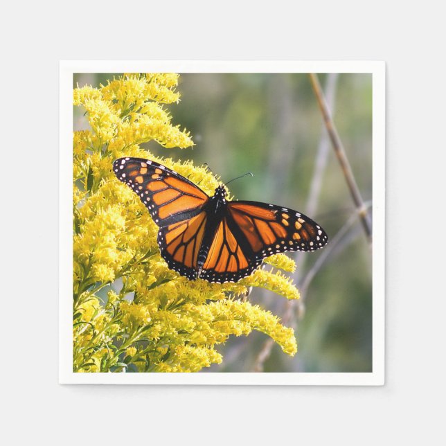 Monarch Butterfly Paper Napkin (Front)