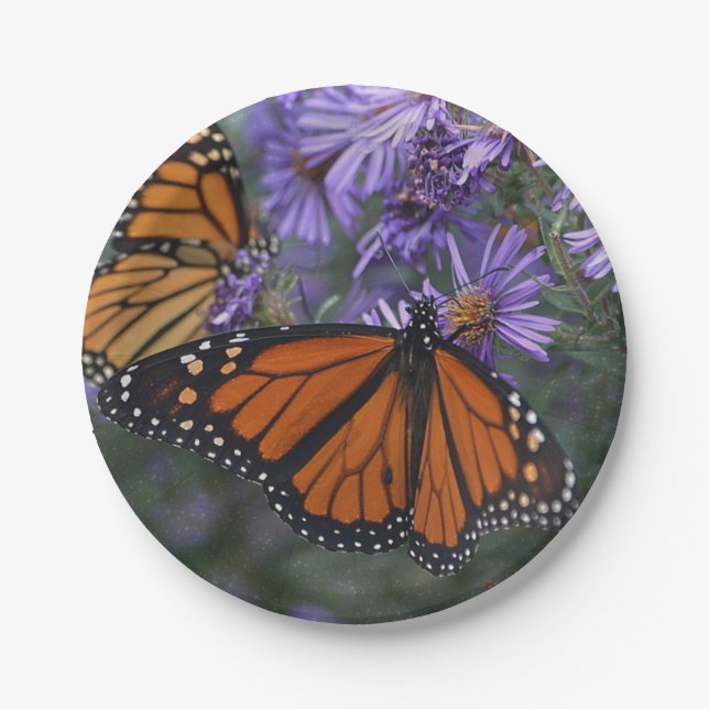 Monarch Butterfly Paper Plate (Front)