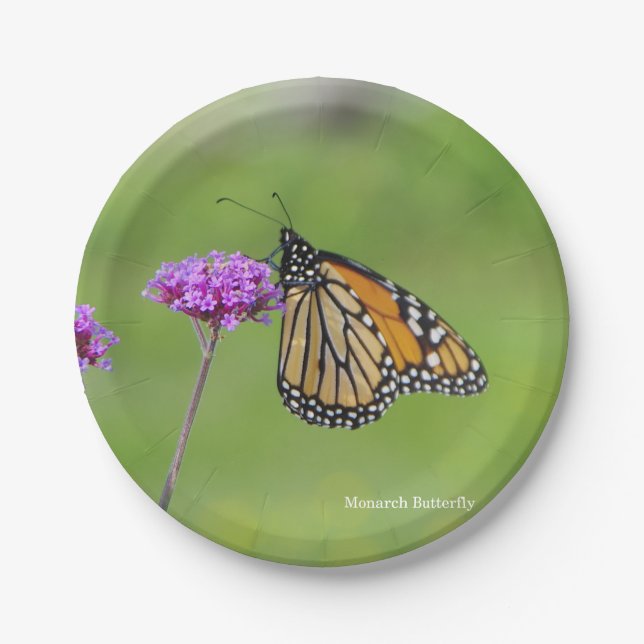Monarch Butterfly paper plate (Front)