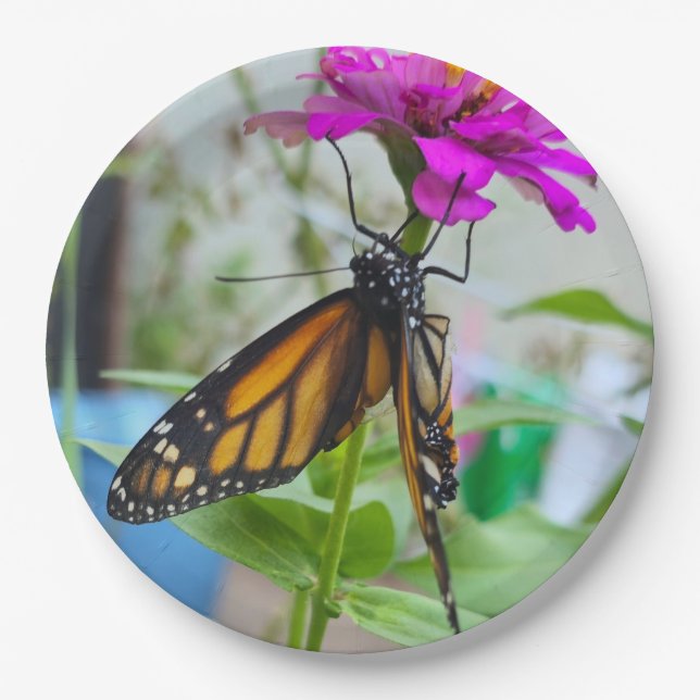 Monarch butterfly Paper plates (Front)
