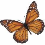 Monarch Butterfly Photo Sculpture Key Ring<br><div class="desc">Monarch Butterfly vector art</div>