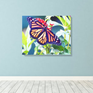 Monarch Butterfly Photography Wall decor Canvas