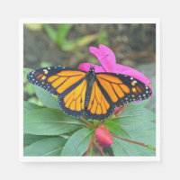 Monarch Butterfly Pink Floral Photo
