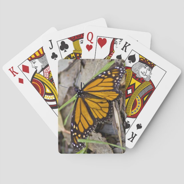 Monarch Butterfly Playing Cards (Back)