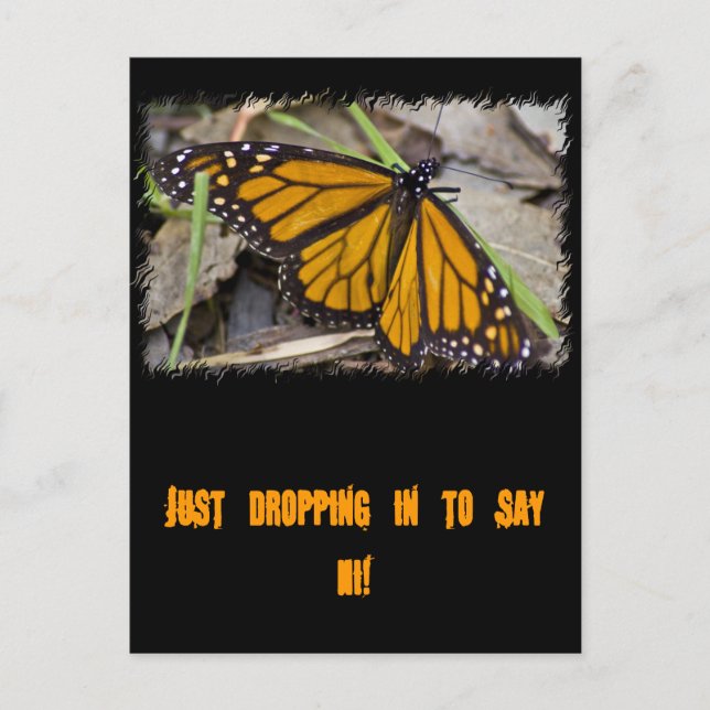 Monarch Butterfly Postcard (Front)