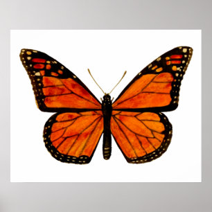 Monarch butterfly poster