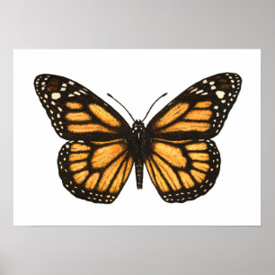 Monarch butterfly poster
