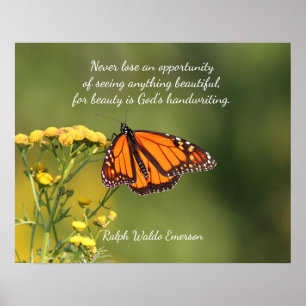 Monarch butterfly poster