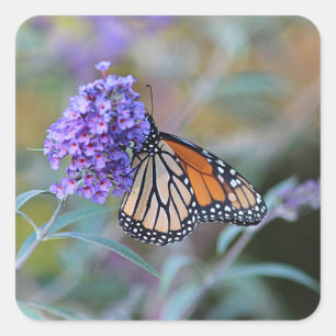 Monarch butterfly profile square sticker