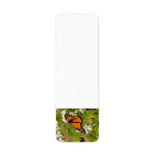 Monarch Butterfly Return Address Label