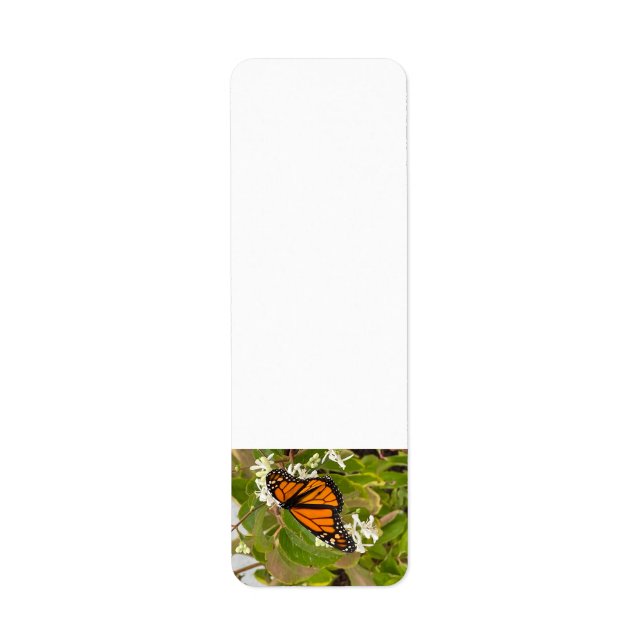 Monarch Butterfly Return Address Label (Front)