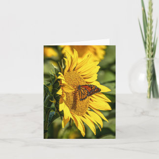Monarch Butterfly Seeking Pollen Card