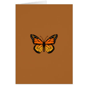 Monarch Butterfly Sensation