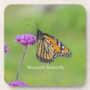 Monarch Butterfly set of 6 plastic coasters