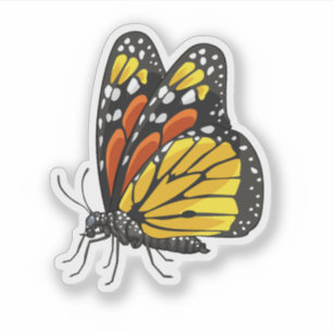 Monarch Butterfly side view