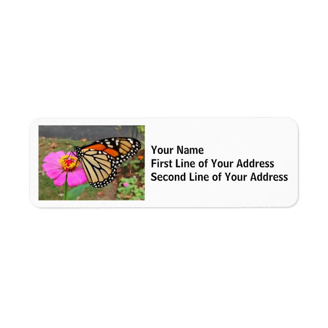 Monarch Butterfly Sipping a Pink Zinnia Return Address Label (Front)