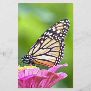 Monarch Butterfly Stationery