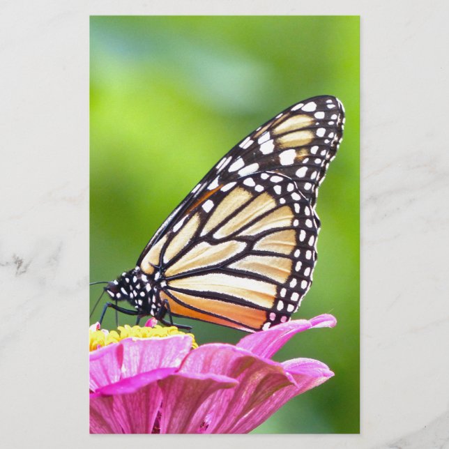 Monarch Butterfly Stationery (Front)