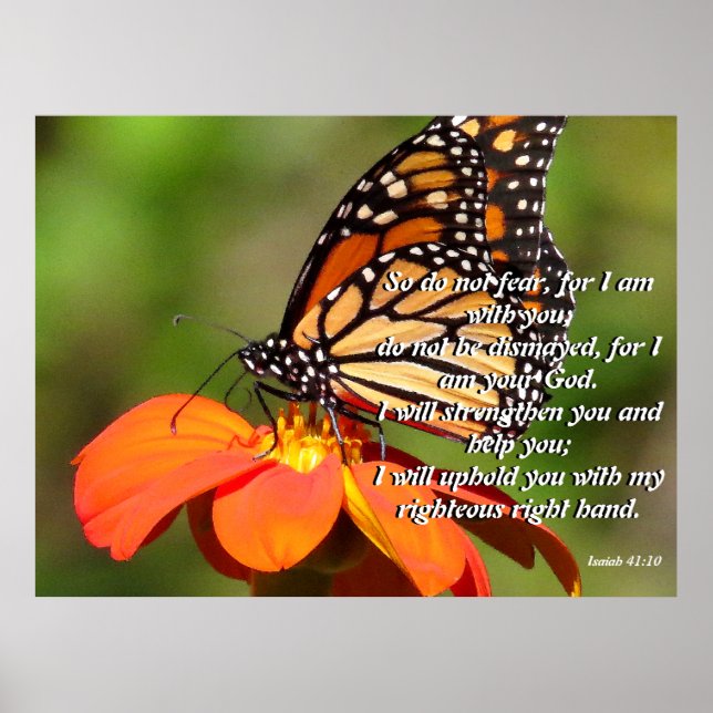 Monarch Butterfly Sunflower Flower Poster (Front)