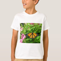 Monarch Butterfly