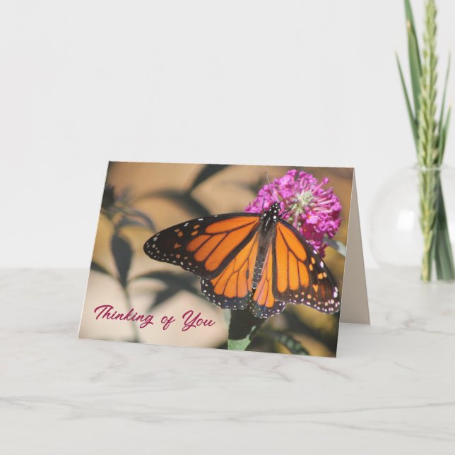 Monarch Butterfly Thinking of You Card (Front)