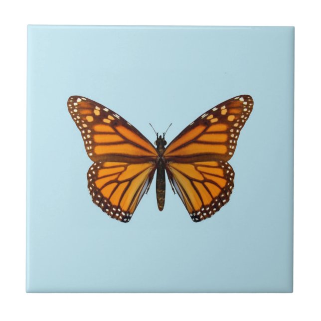 Monarch Butterfly Tile (Front)