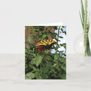 Monarch Butterfly: Transformation, Change, Hope Th Thank You Card