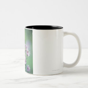 Monarch Butterfly Two-Tone Coffee Mug
