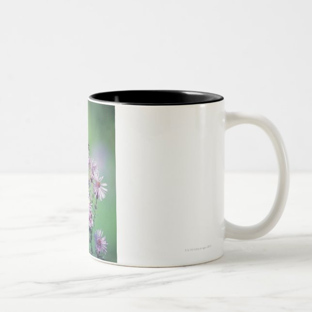 Monarch Butterfly Two-Tone Coffee Mug (Right)