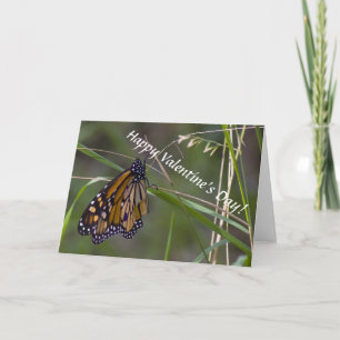 Monarch Butterfly Valentine's Holiday Card