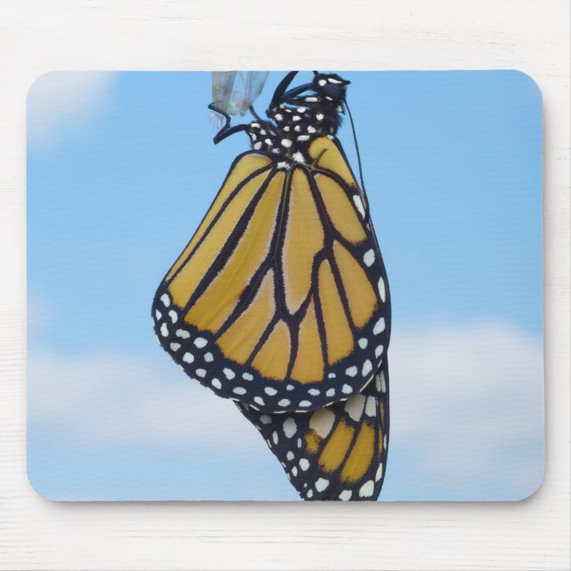 Monarch Butterfly, with Chrysalis Mouse Pad (Front)