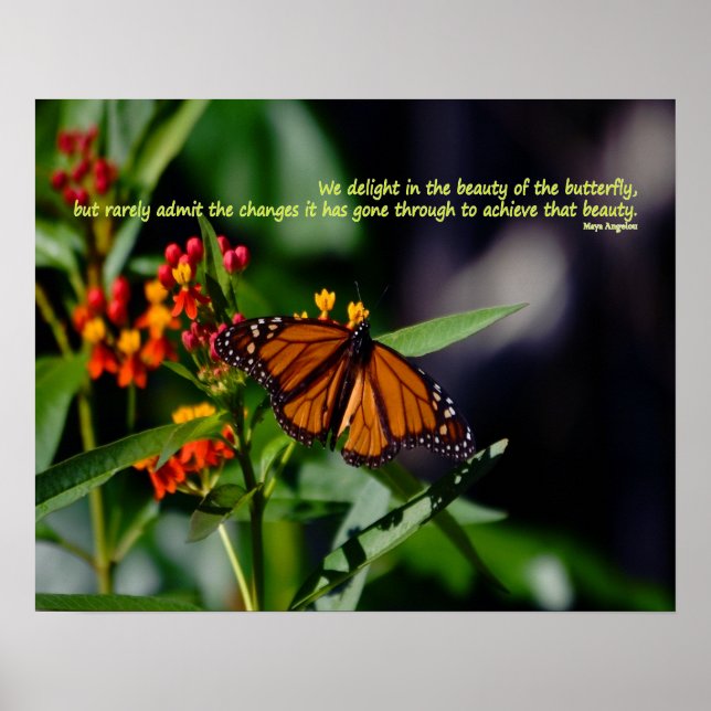 Monarch butterfly with Maya Angelou quote Poster (Front)