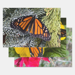 Monarch butterfly wrapping paper