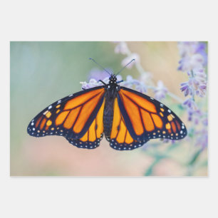 Monarch Butterfly Wrapping Paper Sheet