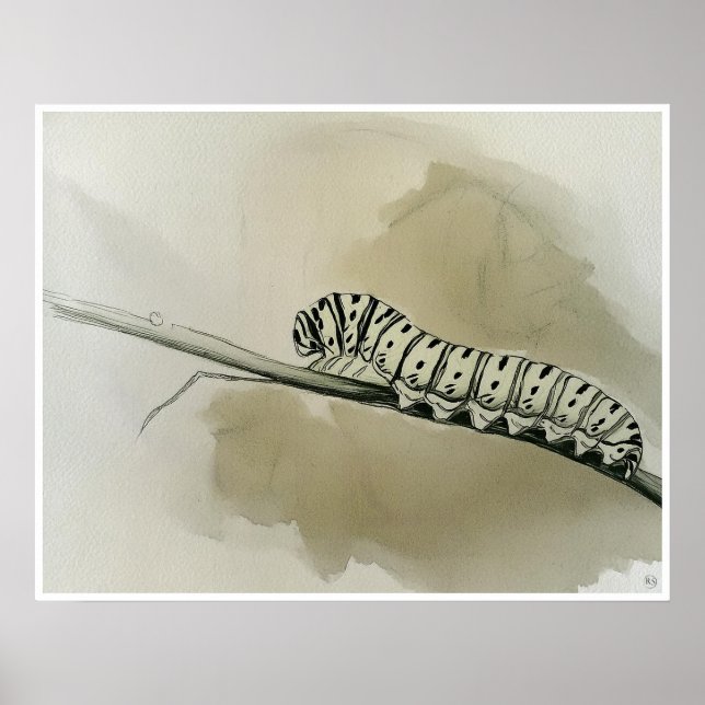 Monarch Caterpillar Art Print (Front)