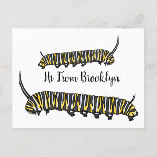 Monarch caterpillar cartoon illustration postcard