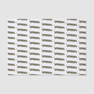 Monarch caterpillar cartoon illustration tissue paper