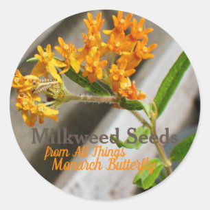 Monarch caterpillar classic round sticker