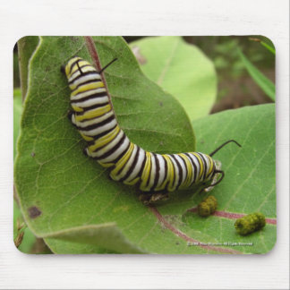 Monarch Caterpillar Mouse Pad