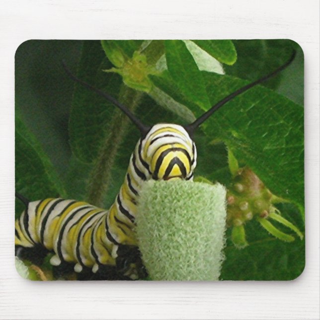 MONARCH CATERPILLAR mousepad (Front)